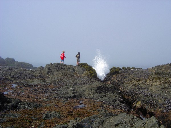 Cool watch us get washed away!